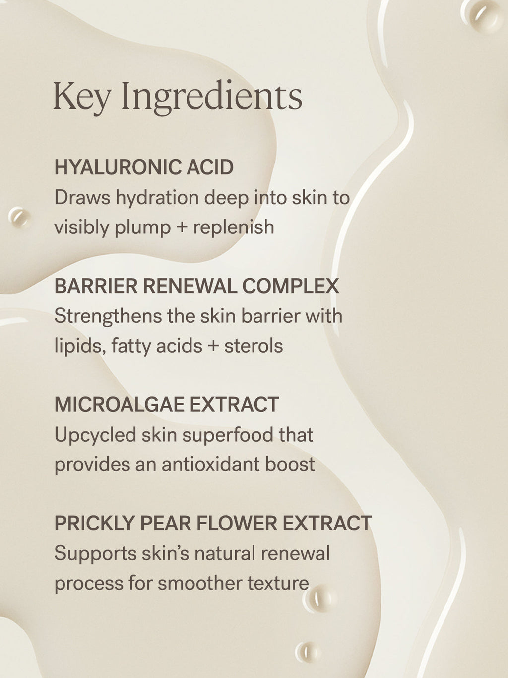 The Base Face Milk | Fresh Daily Favorite