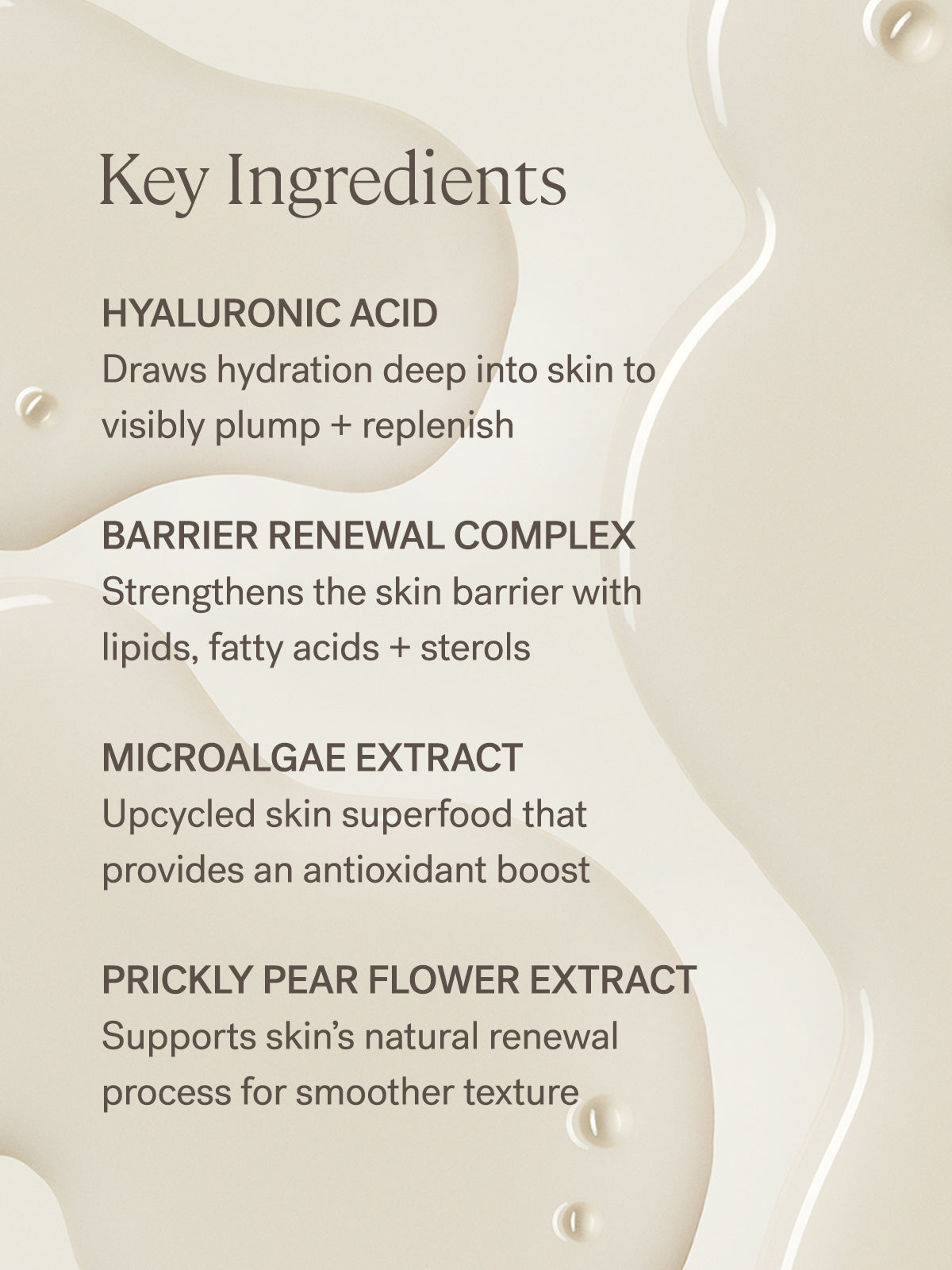 The Base Face Milk | Fresh Daily Favorite