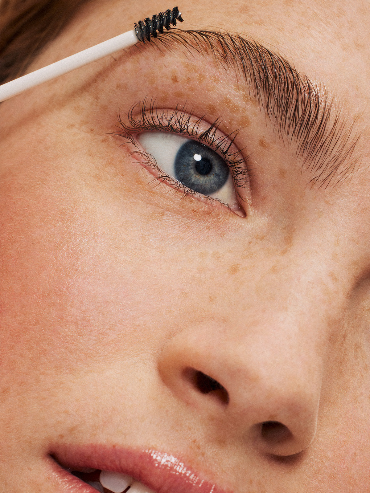 In Frame Brow Gel | Fresh Daily Favorite