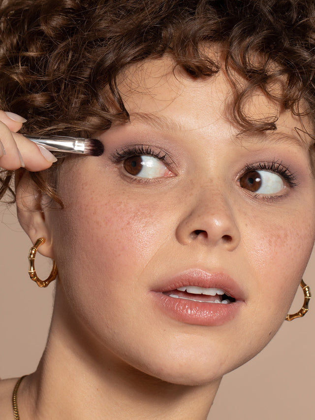 Shadow Brush | Fresh Daily Favorite