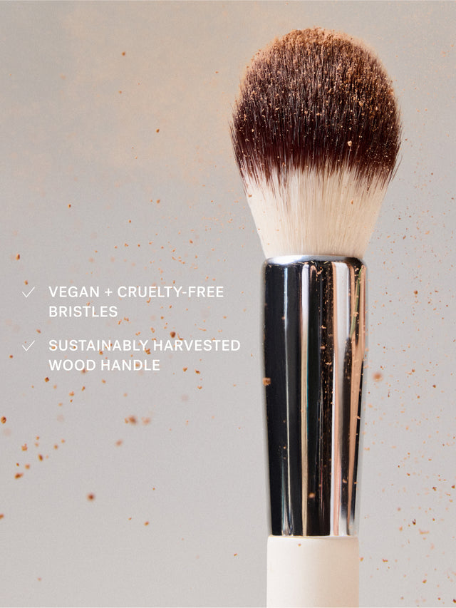 Precision Powder Brush | Fresh Daily Favorite