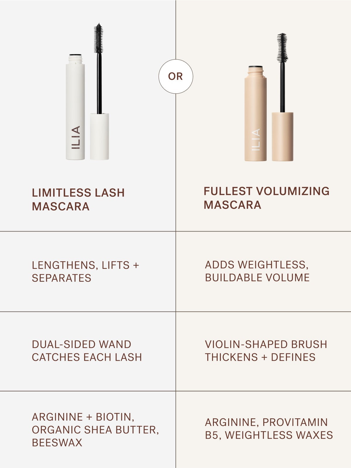 Mascara is a Moment Set | Fresh Routine Favorite