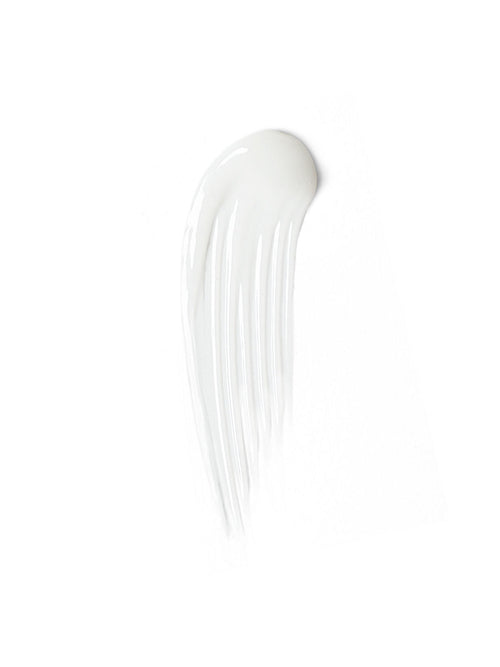 In Frame Brow Gel | Fresh Daily Favorite