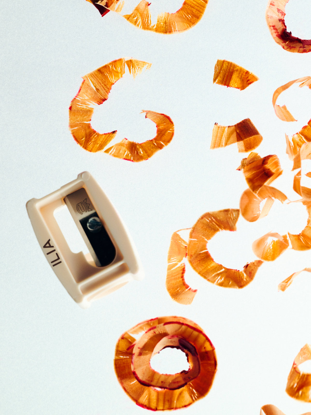 Large Sharpener | Fresh Daily Favorite