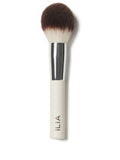 Finishing Powder Brush | Fresh Daily Favorite