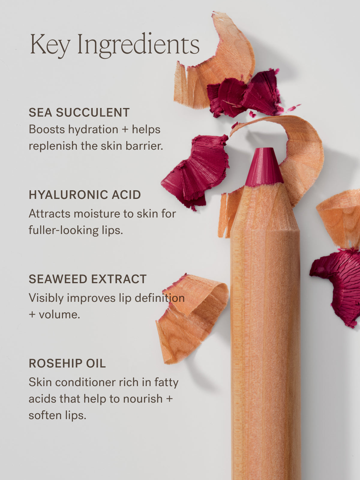 Lip Sketch Hydrating Crayon | Fresh Routine Favorite