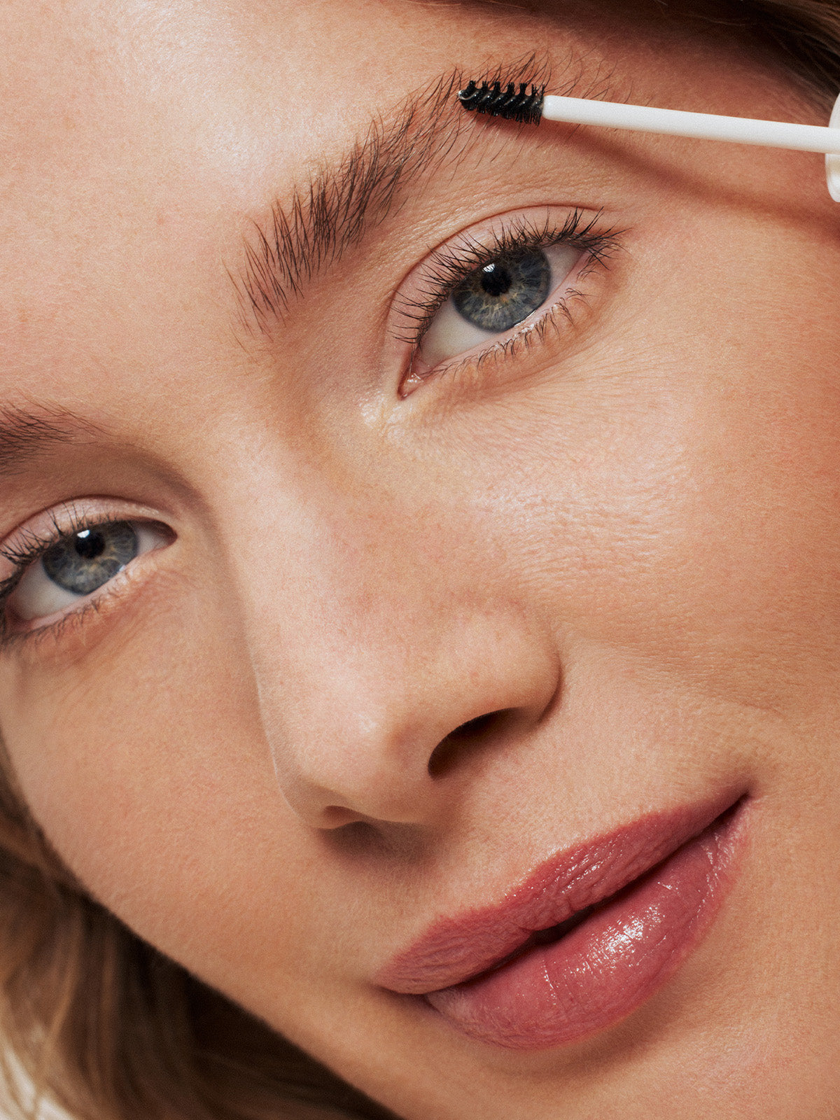 In Frame Brow Gel | Fresh Daily Favorite