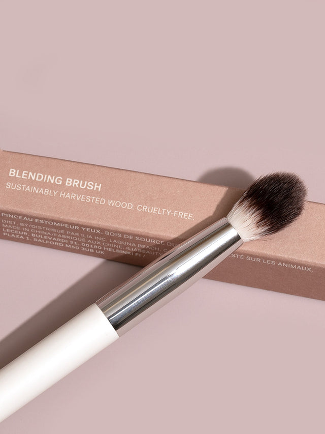 Blending Brush | Fresh Daily Favorite