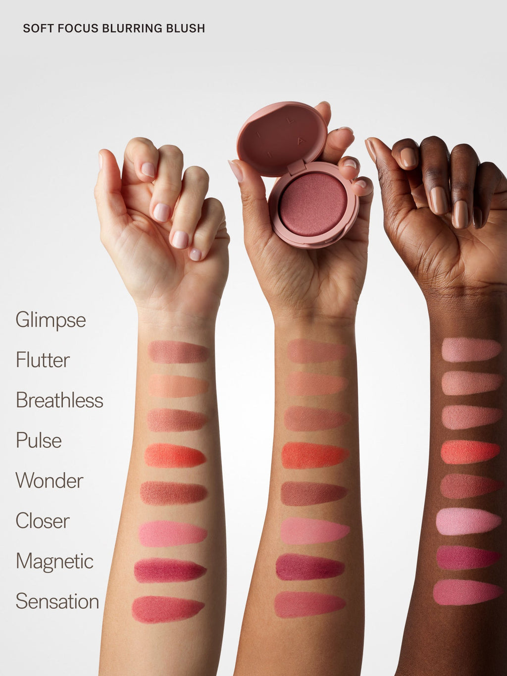 The Complexion + Color Set | Fresh Daily Favorite