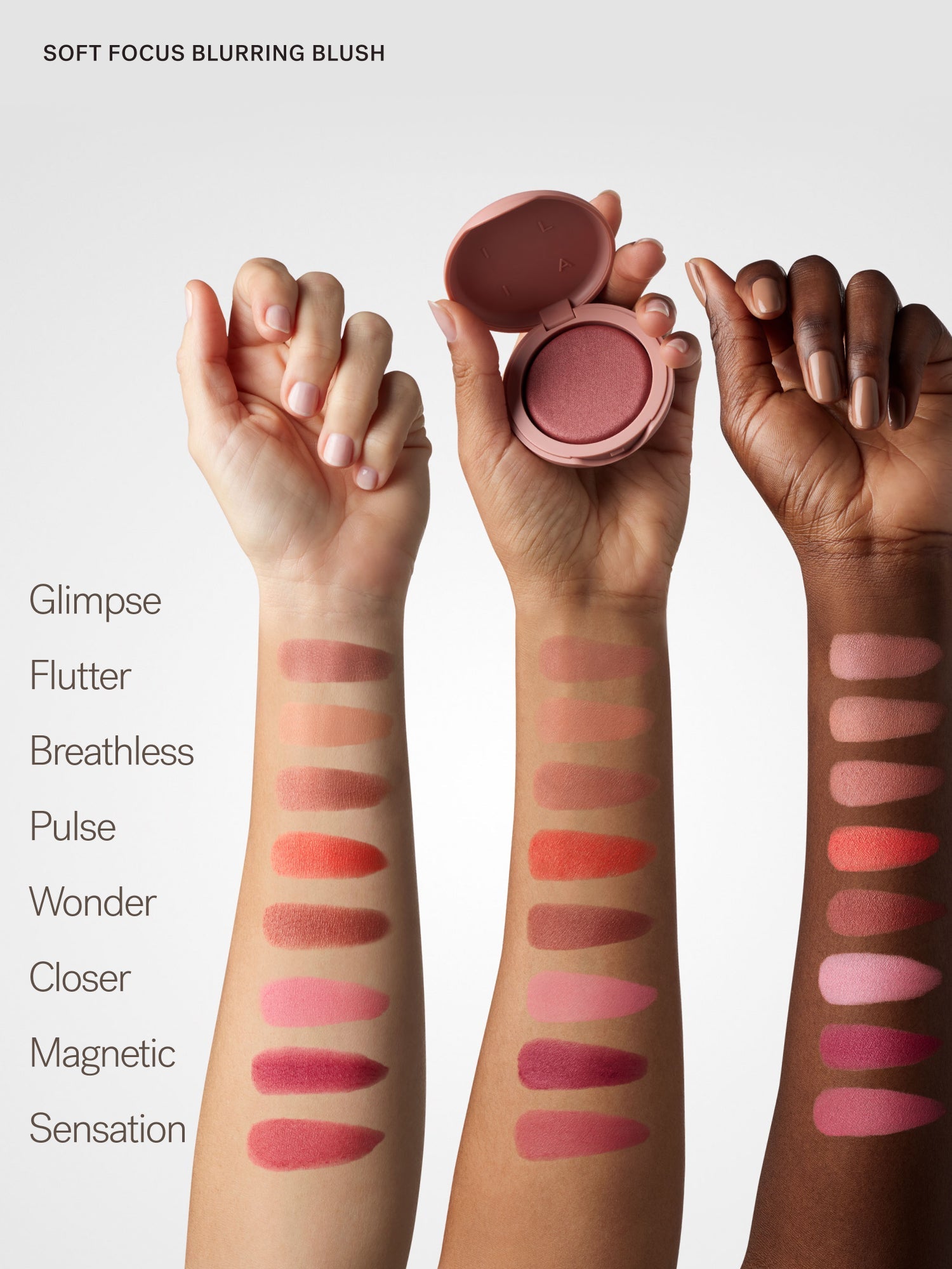 The Complexion + Color Set | Fresh Daily Favorite
