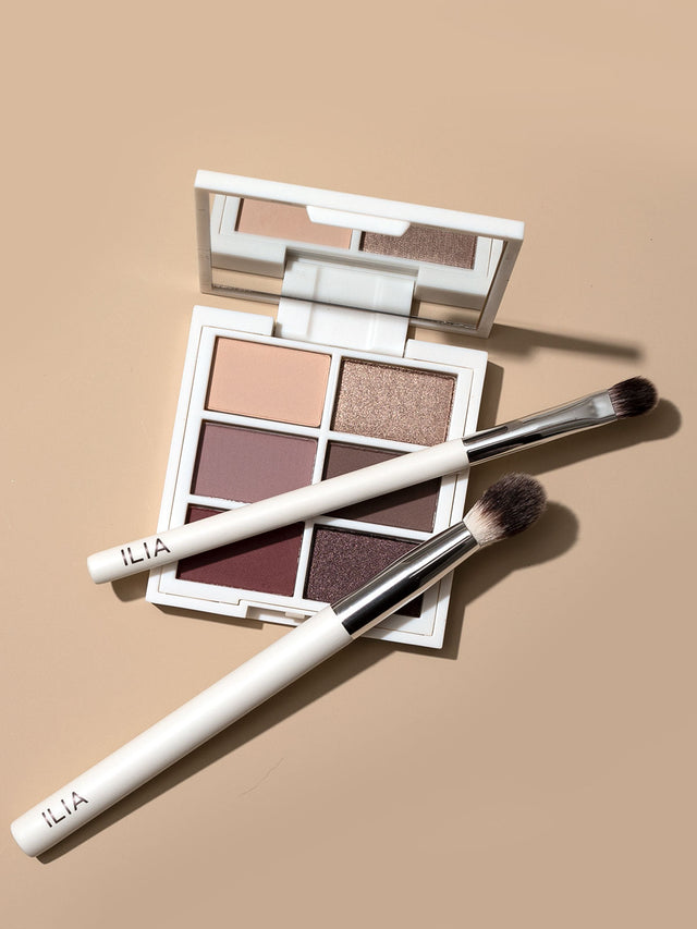 Shadow Brush | Fresh Daily Favorite