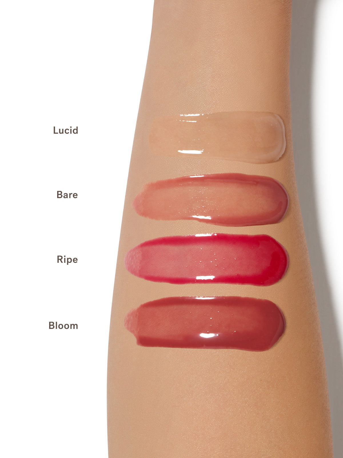 The Beauty of Balm Lip Set | Fresh Routine Favorite